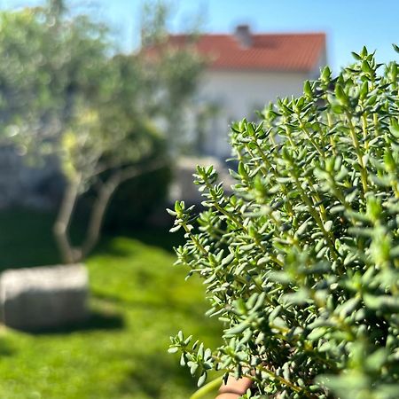 Apartamento Va Kastav Exterior foto