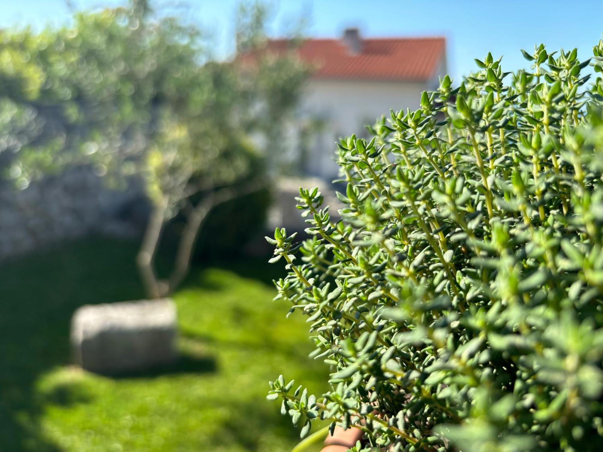 Apartamento Va Kastav Exterior foto