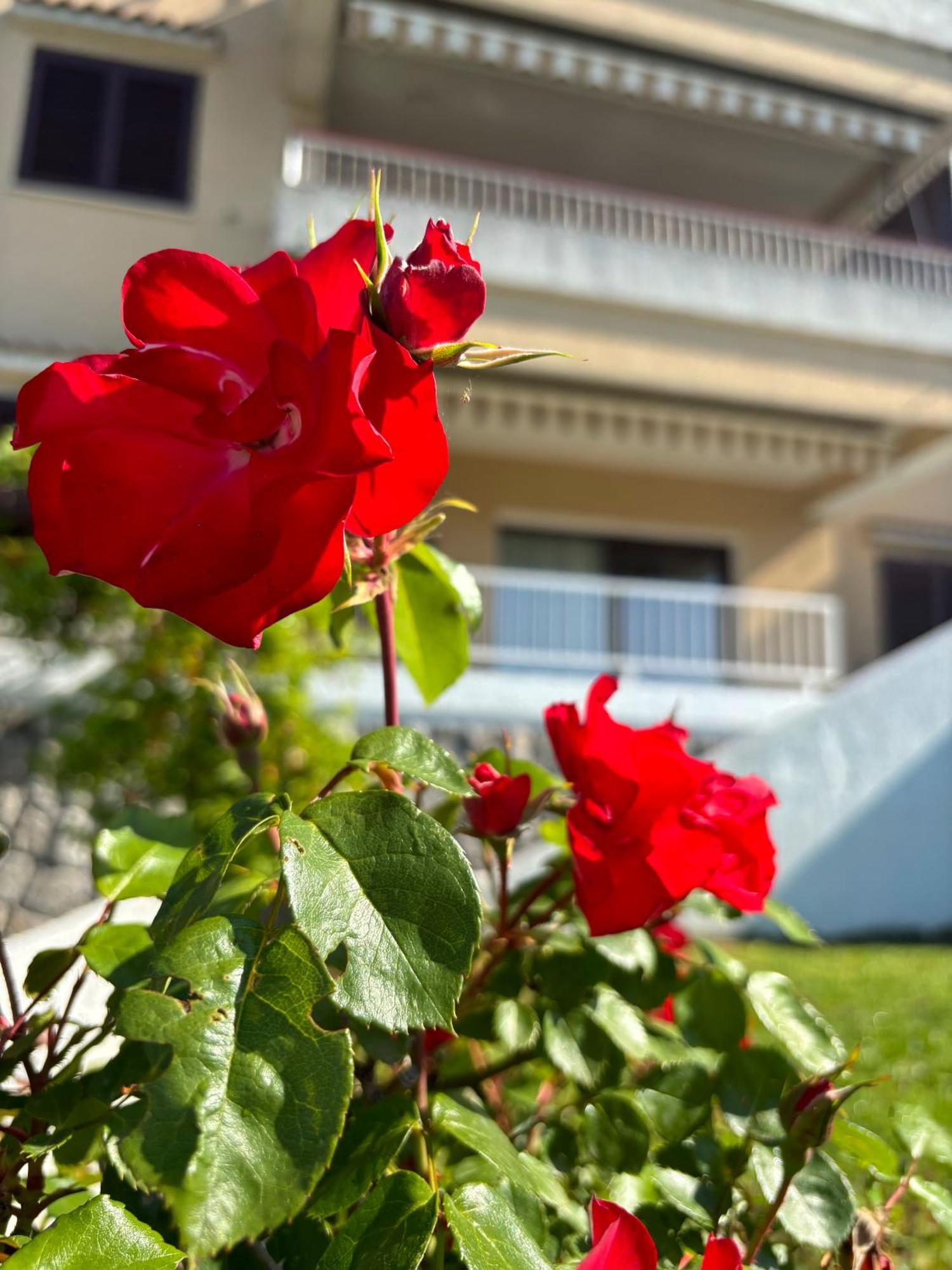 Apartamento Va Kastav Exterior foto